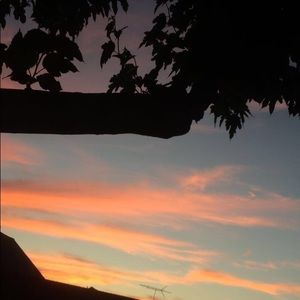 Hey I'm Alicia! Read a bit about me below🌻